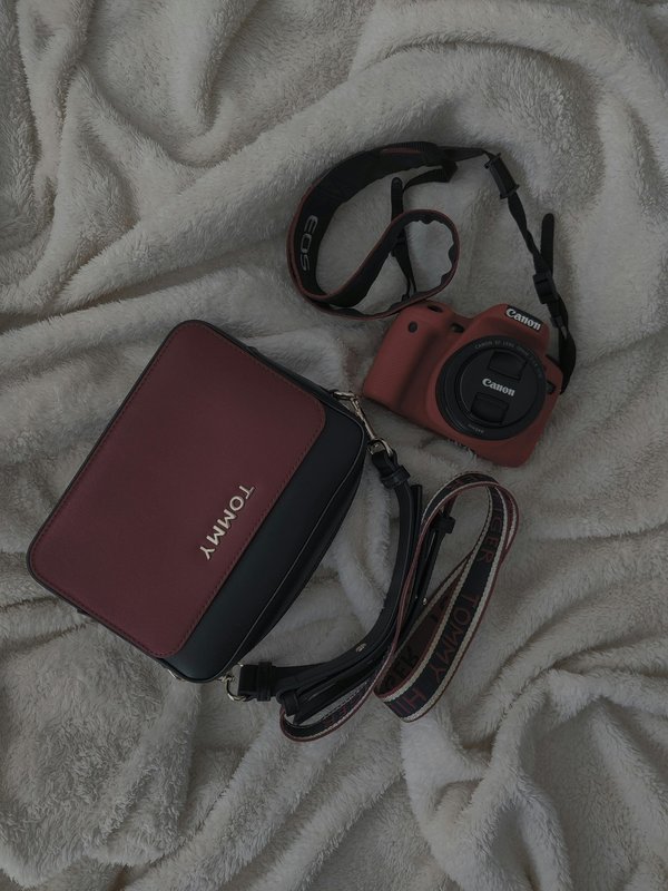 Sacs à main Tommy Hilfiger pour femmes : style et praticité